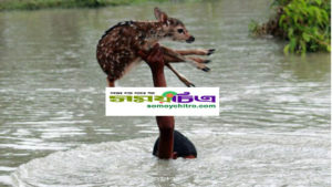 http//www.somoychitro.com