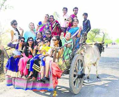 বিমানের চেয়ে গরুর গাড়ির ভাড়া বেশি