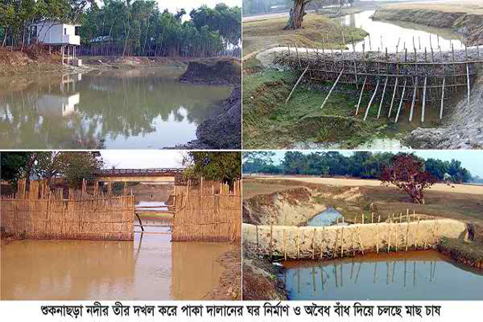 কুলাউড়ার শুকনাছড়া নদীতে চলছে বাঁধ দিয়ে মাছ চাষ