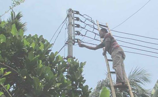 বড়লেখা পল্লী বিদ্যুতের লাইনম্যান নিহত