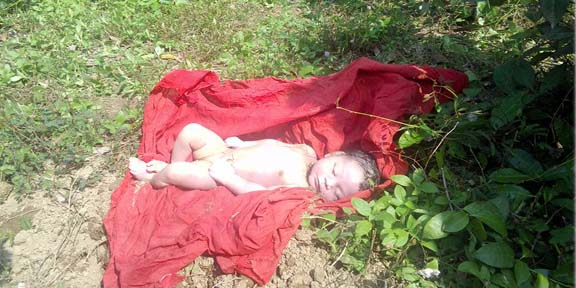 কমলগঞ্জে নবজাতকের লাশ উদ্ধার