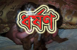 কুলাউড়ায় নবম শ্রেনীর ছাত্রীকে অপহরনের পর ধর্ষণ!