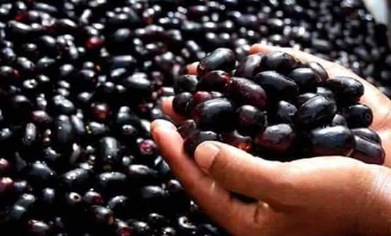 কালো জামের উপকারিতা……….