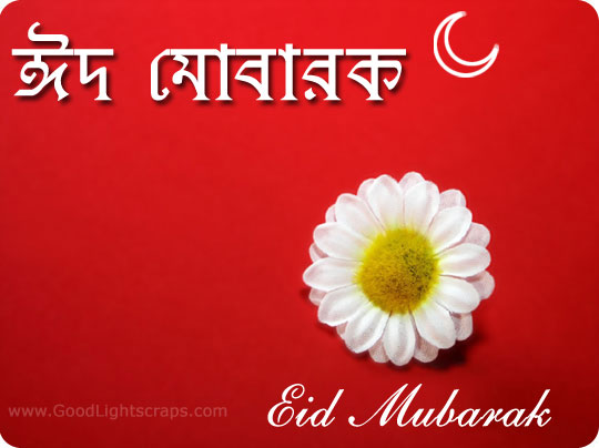 বিয়ানীবাজার উপজেলার সর্বত্র ঈদের জামাতের প্রস্তুতি চলছে: ঈদের জামাতের সময়সূচীঃ