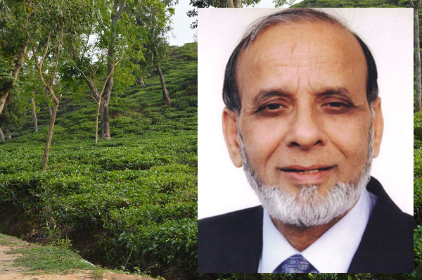 ভারতে পালিয়ে গেলেন  দানবীর রাগীব আলী