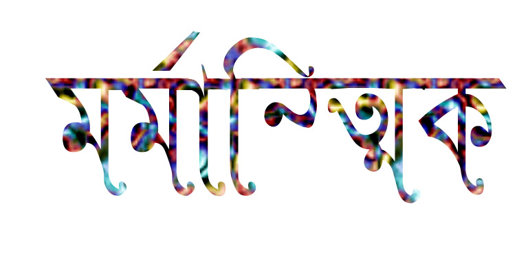বড়লেখায় বিদ্যুৎস্পৃষ্ট হয়ে রাজমিস্ত্রির মৃত্যু
