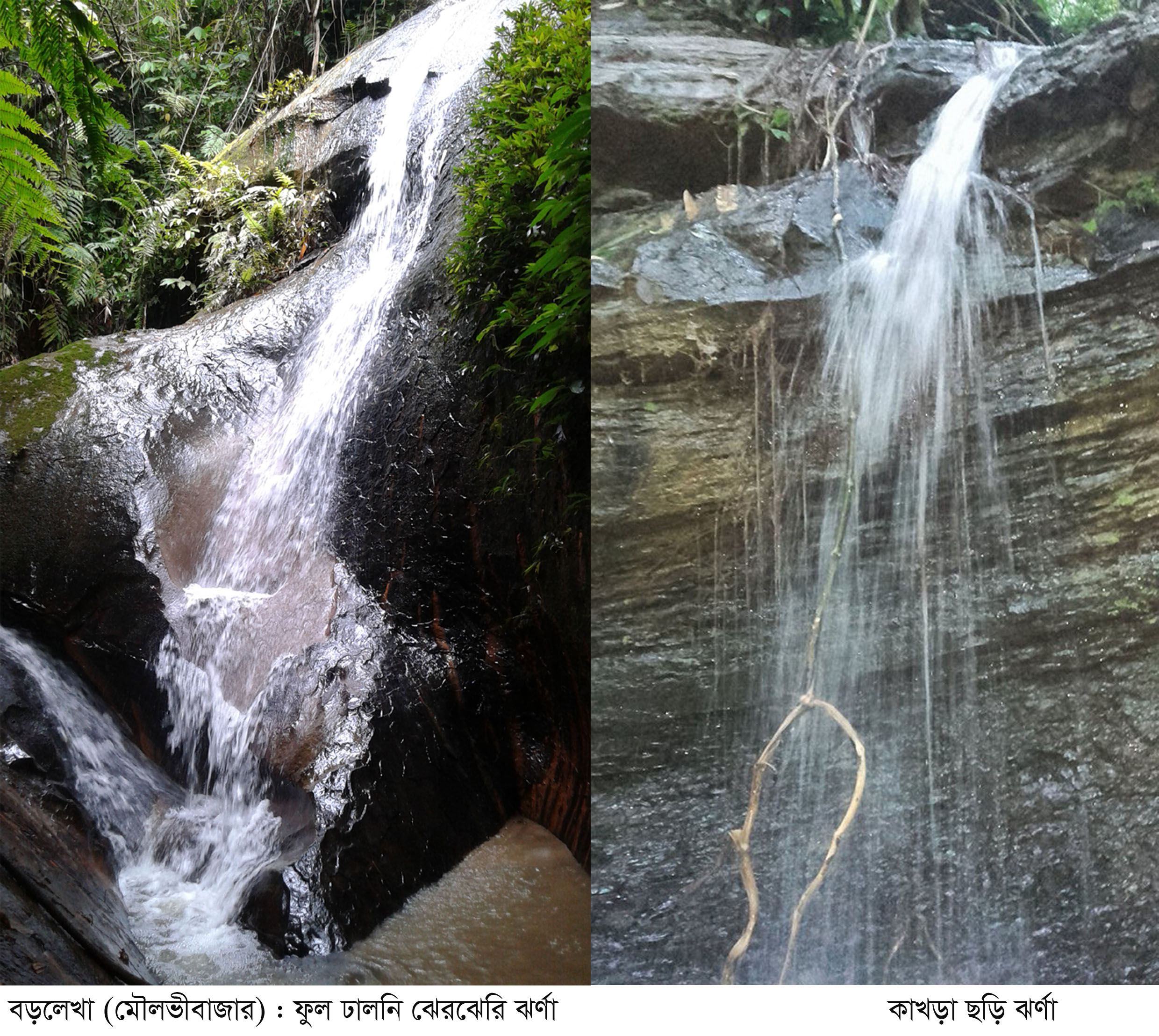 বড়লেখার পাথারিয়ায় ৪টি নতুন ঝর্ণার খোঁজ