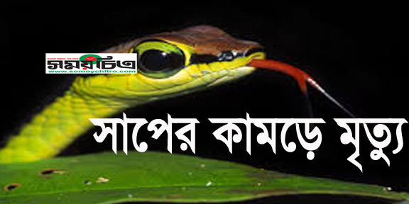 বিষধর সাপের কামড়ে ছাত্রদল নেতার মৃত্যু