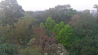 বসন্তকাল