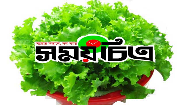 হৃৎপিণ্ডের শিরায় চর্বি জমতে বাধা দেয় যে পাতা