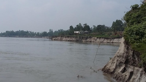 যমুনার ভয়াবহ ভাঙনে দিশেহারা কয়েক শতাধিক পরিবার