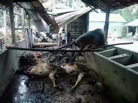 ঠাকুরগাঁওয়ে ভয়াবহ অগ্নিকান্ড