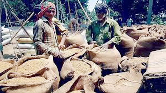 ঝিনাইদহে খাদ্য অধিদপ্তর কর্তৃক কালো তালিকাভুক্ত ৪২৮ চালকল