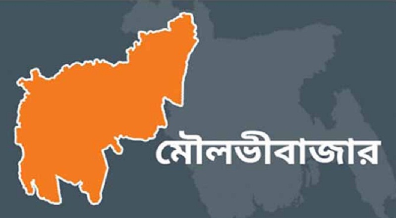 মৌলভীবাজারে পাশের হার ৬৬.৯৯, জিপিএ ৬৭২