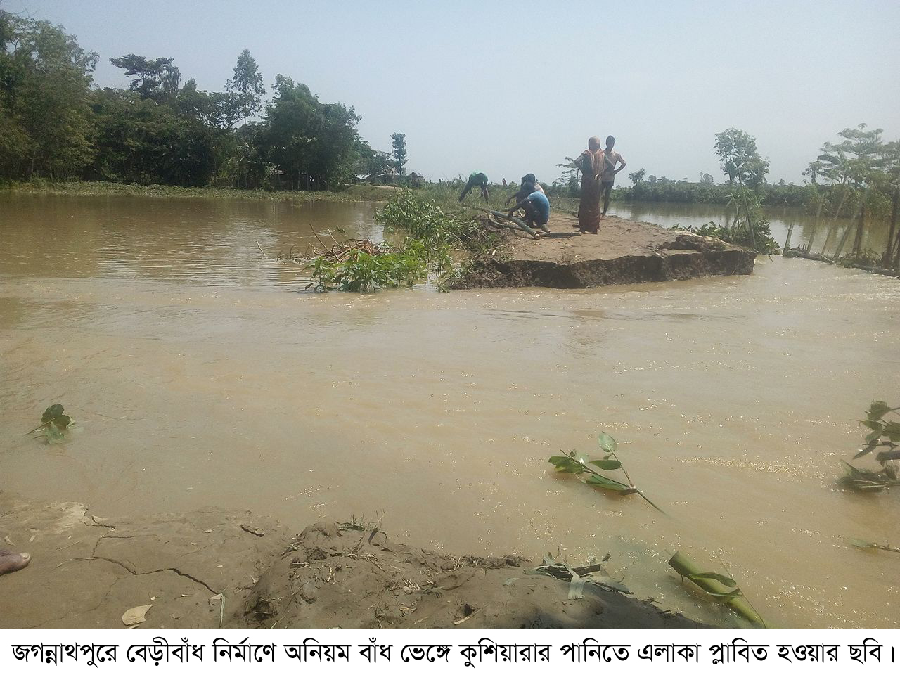 জগন্নাথপুরে বেড়ীবাঁধ নির্মাণে অনিয়ম: বাঁধ ভেঙ্গে কুশিয়ারার পানিতে কয়েকটি গ্রাম প্লাবিত