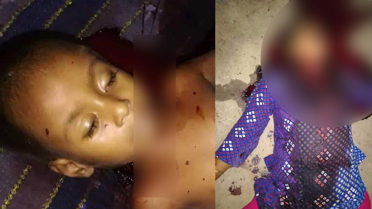 নিজ বাড়িতে মা-ছেলের গলাকাটা লাশ, স্বামী আটক