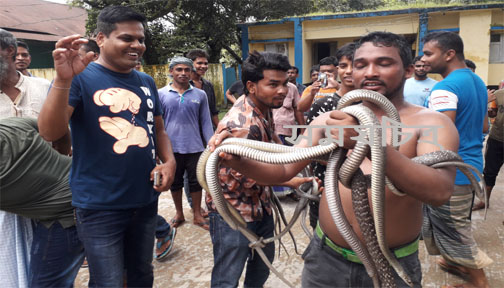 বিয়ানীবাজার থানা থেকে বিষাক্ত সাপ উদ্বার