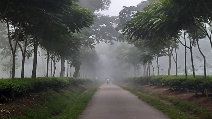 চা’য়ের রাজধানীখ্যাত শ্রীমঙ্গলে পর্যটকের ভিড়