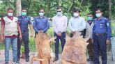 বড়লেখায় মায়া হরিণের চামড়া উদ্ধার