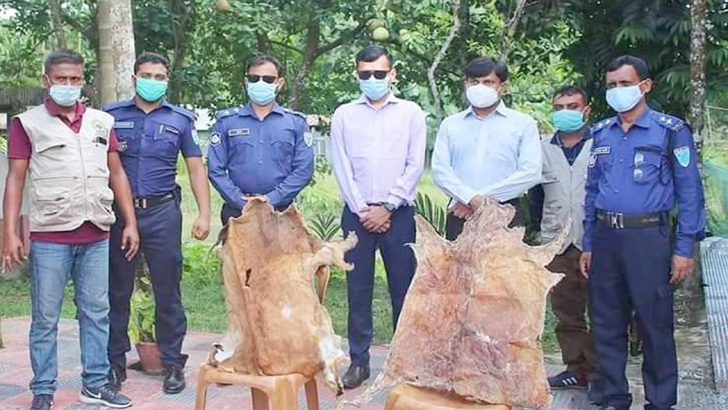 বড়লেখায় মায়া হরিণের চামড়া উদ্ধার