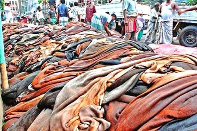 বিয়ানীবাজারে কোরবানির পশুর চামড়া কেনা নিয়ে সংশয়ে ব্যবসায়ীরা