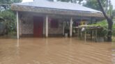 পাহাড়ি ঢলে দোয়ারাবাজারে বৃদ্ধি পাচ্ছে নদ-নদীর পানি