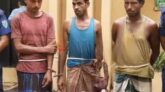 রাজনগরে ৩ ডাকাত আটক
