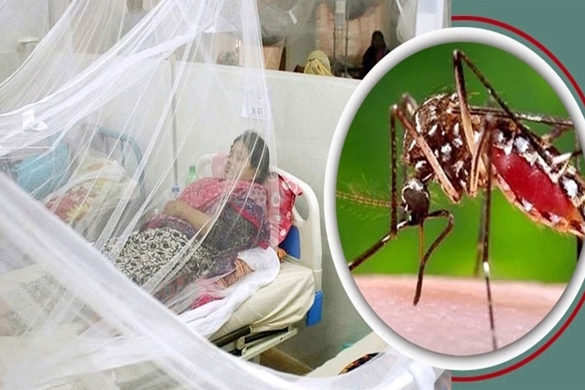 সিলেটে ডেঙ্গু আক্রন্তের সংখ্যা ক্রমশ বাড়ছে