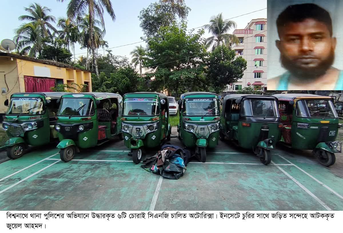 বিশ্বনাথে ৬টি চোরাই সিএনজি চালিত অটোরিক্সা উদ্ধার, আটক ১
