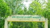কালেঙ্গায় বনরক্ষী দলের সঙ্গে গাছচোরদের সংঘর্ষ, ছোড়া হয় ৩৪ রাউন্ড গুলি