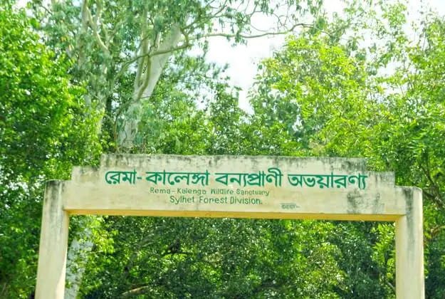 কালেঙ্গায় বনরক্ষী দলের সঙ্গে গাছচোরদের সংঘর্ষ, ছোড়া হয় ৩৪ রাউন্ড গুলি