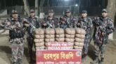 হবিগঞ্জ সীমান্তবর্তী এলাকায় ৫০ কেজি ভারতীয় গাঁজা জব্দ