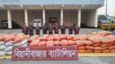 বিয়ানীবাজারে বিজিবির অভিযানে ৭২ লাখ টাকার ভারতীয় জিরা ও ধান জব্দ