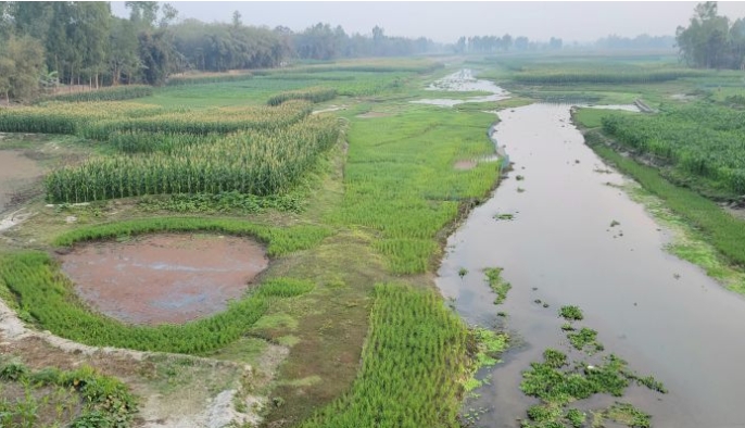 ধরলা-বারোমাসিয়া নদীর ধু-ধু বালুচরে এখন দোল খাচ্ছে কৃষকের স্বপ্ন