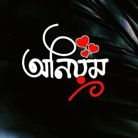 বড়লেখা পৌরসভার ৫ নম্বর ওয়ার্ডে কার্ড বিতরণে অনিয়মের অভিযোগ