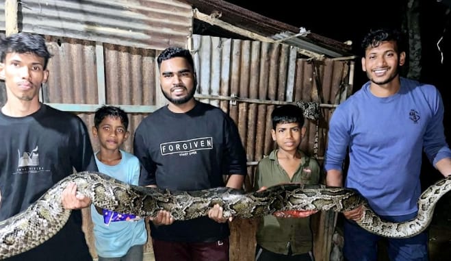 ১৩ ফুট লম্বা অজগর লাউয়াছড়া বনে অবমুক্ত