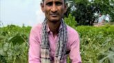 রাতের আঁধারে কাটা হলো স্বপ্নের ফসল: বিশ্বনাথে নিঃস্ব কৃষক নুরুলের আহাজারি