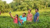 ঈদের ছুটিতে সিলেটের চা বাগানে পর্যটকদের ঢল, মুখর প্রকৃতি ও স্থানীয় অর্থনীতি