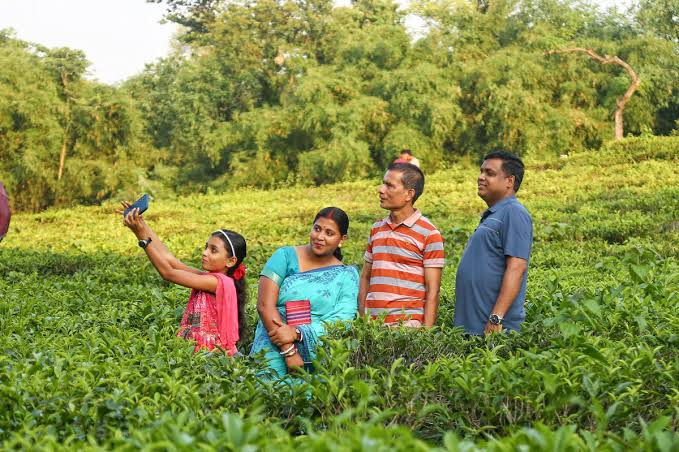 ঈদের ছুটিতে সিলেটের চা বাগানে পর্যটকদের ঢল, মুখর প্রকৃতি ও স্থানীয় অর্থনীতি