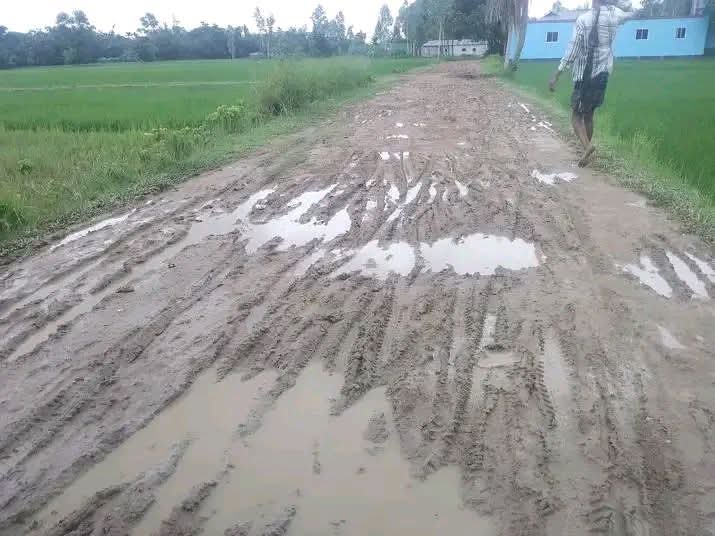 বাহুবলের বিহারীপুর সড়কের বেহাল দশা, দুর্ভোগে কয়েক গ্রামের মানুষ