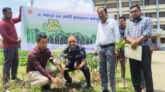 দোয়ারাবাজারে বৃক্ষরোপণ কর্মসূচির শুভ উদ্বোধন