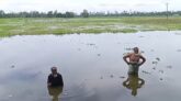কুড়িগ্রামের ফুলবাড়ী উপজেলার নীলআকাশ দোলার পানি নিষ্কাশন সংকট: শত শত বিঘা কৃষিজমি অনাবাদি হওয়ার আশঙ্কা