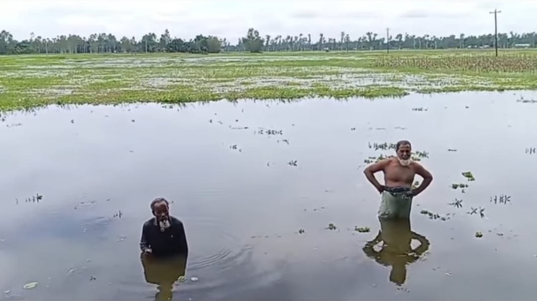 কুড়িগ্রামের ফুলবাড়ী উপজেলার নীলআকাশ দোলার পানি নিষ্কাশন সংকট: শত শত বিঘা কৃষিজমি অনাবাদি হওয়ার আশঙ্কা