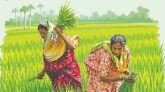 বাজার ও বৈশ্বিক রাজনীতির সঙ্গে গ্রামীণ নারীর লড়াই
