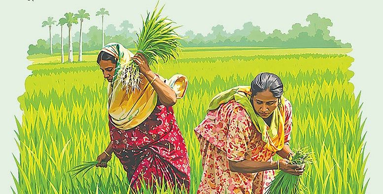বাজার ও বৈশ্বিক রাজনীতির সঙ্গে গ্রামীণ নারীর লড়াই
