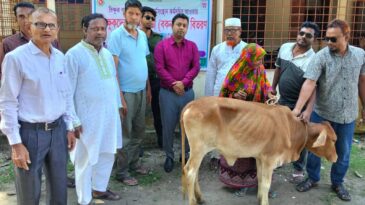 ভিক্ষুক পুনর্বাসনে ১১টি গরু বিতরণের তালিকা ও বরাদ্দ তথ্য দিতে নারাজ; তদন্তের দাবি