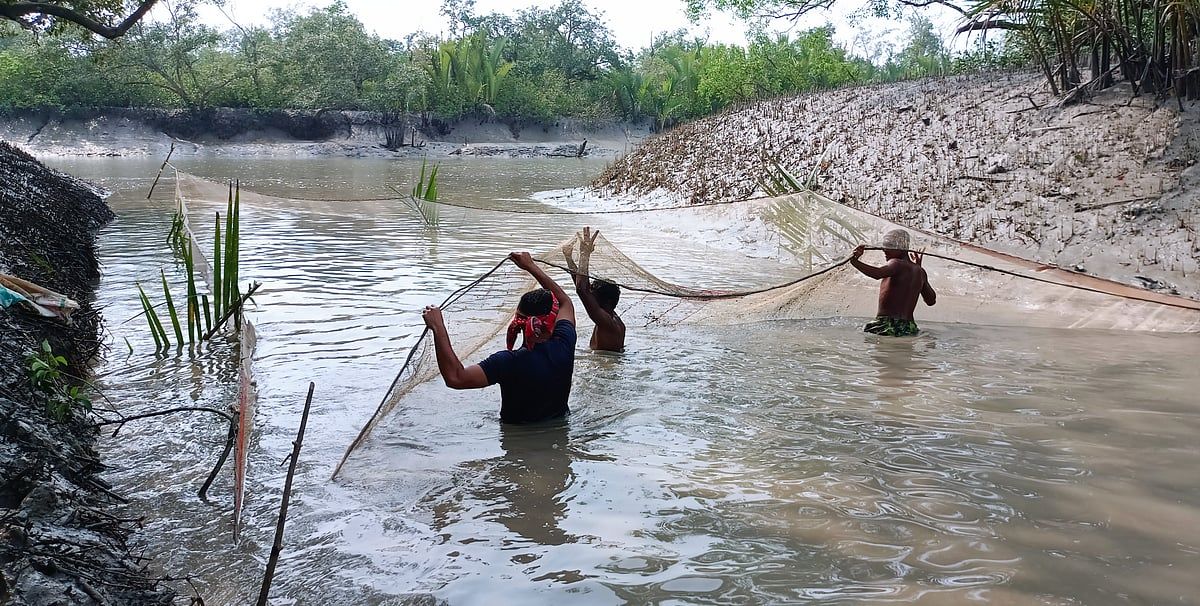 নীরব বসন্তের কালে অপরাধী ধরা যায়, ছোঁয়া যায় না