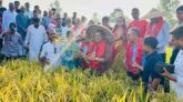 কৃষিকে প্রযুক্তিনির্ভর ও লাভজনক করতে কাজ করছে সরকার: তথ্যপ্রযুক্তি মন্ত্রী
